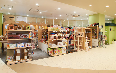 image1 image1
